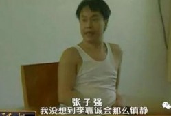 张子强自己爆料视频,揭秘黑帮大佬的犯罪生涯